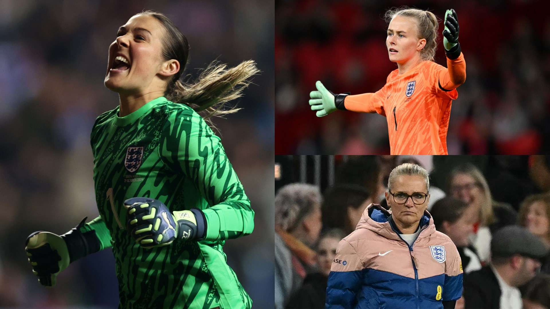 僅展示了雙 僅展示了雙